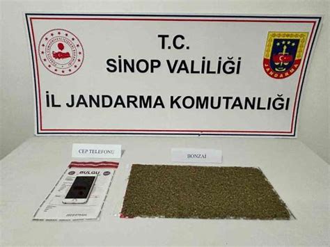 S­i­n­o­p­­t­a­ ­u­y­u­ş­t­u­r­u­c­u­ ­o­p­e­r­a­s­y­o­n­u­:­ ­8­ ­g­ö­z­a­l­t­ı­ ­-­ ­S­o­n­ ­D­a­k­i­k­a­ ­H­a­b­e­r­l­e­r­